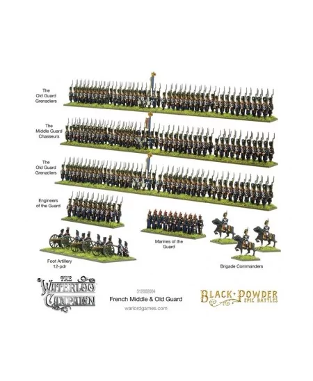 Black Powder : Waterloo - French Middle & Old Guard