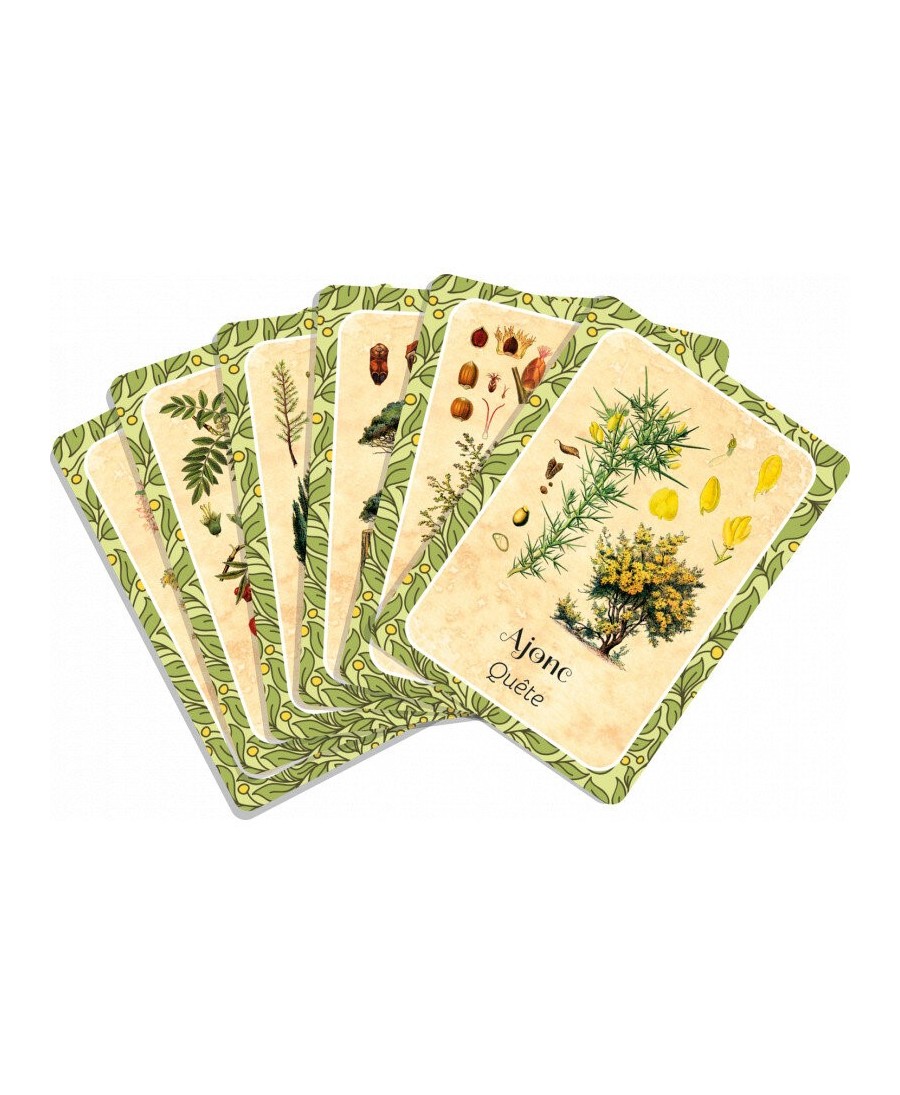 Jdr - Les Cernes du Temps - Oracle - Cartes - Boutique Starplayer