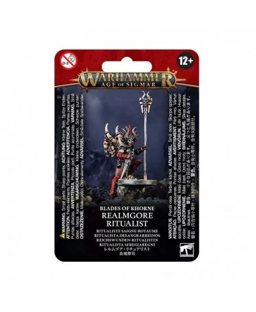 Warhammer Age of Sigmar : Blades of Khorne - Realmgore Ritualist
