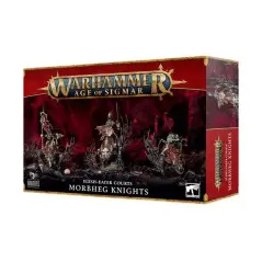 Warhammer Age of Sigmar : Chevaliers de Morbheg | Kit de figurines à assembler et à peindre