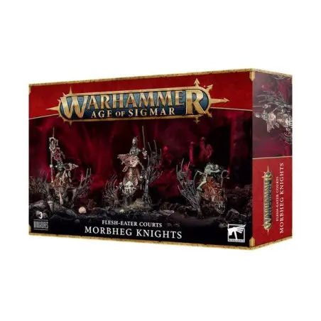 Warhammer Age of Sigmar : Chevaliers de Morbheg | Kit de figurines à assembler et à peindre